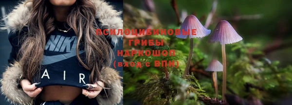 скорость Нязепетровск