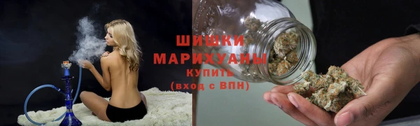 гидра Осинники