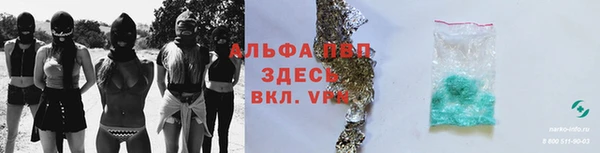 гидра Осинники