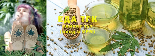 дмт Нягань