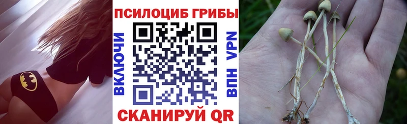 Псилоцибиновые грибы мицелий  даркнет сайт  Ливны 