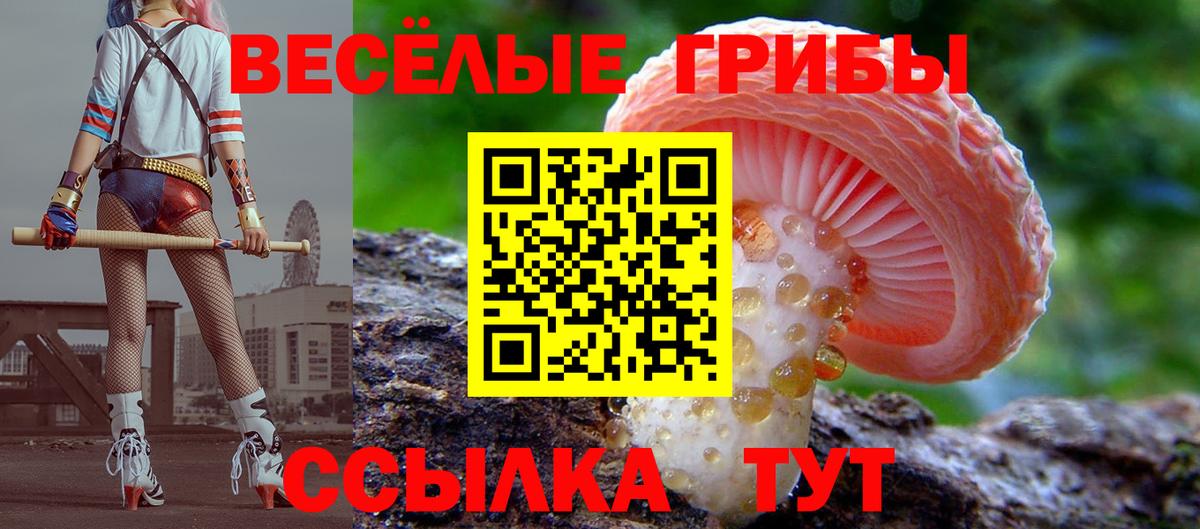 Псилоцибиновые грибы мухоморы  Вход с VPN  Ливны  Псилоцибиновые грибы мицелий 