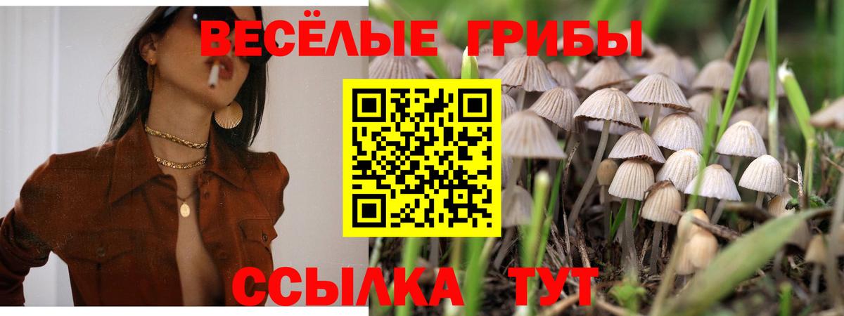 Ливны  Мефедрон кристаллы  МЕТ  Марихуана  АМФЕТАМИН кристаллы  Наркошоп  Вход с VPN  ГАШИШ  COCAIN 