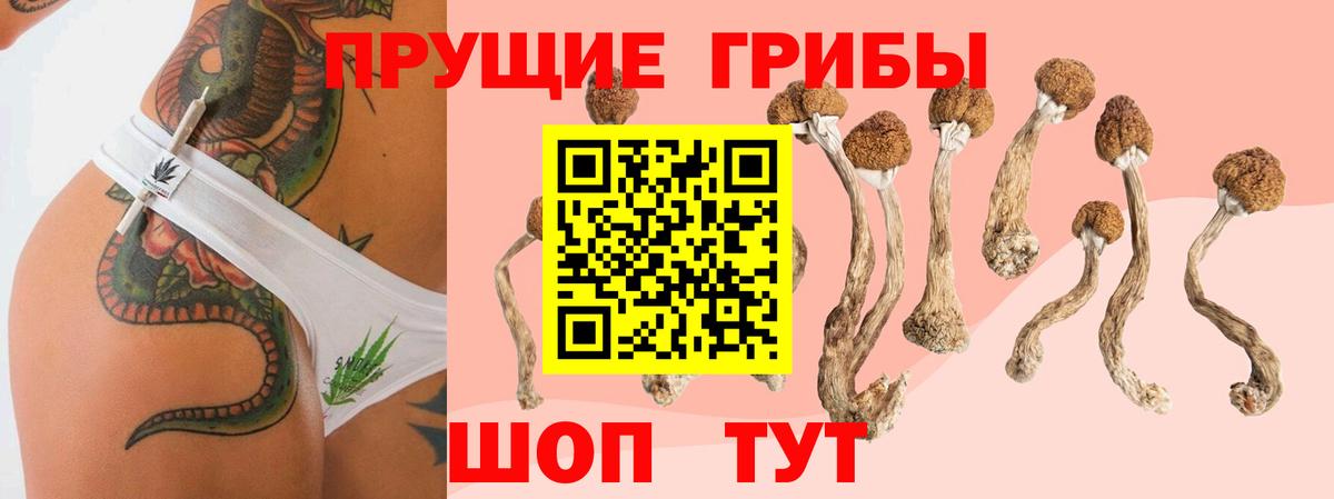 Галлюциногенные грибы Psilocybe Ливны